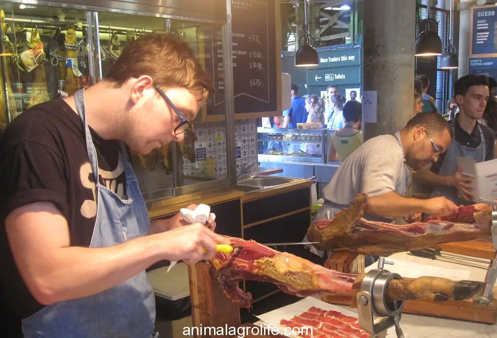 Bellota Ham vs Iberico Ham