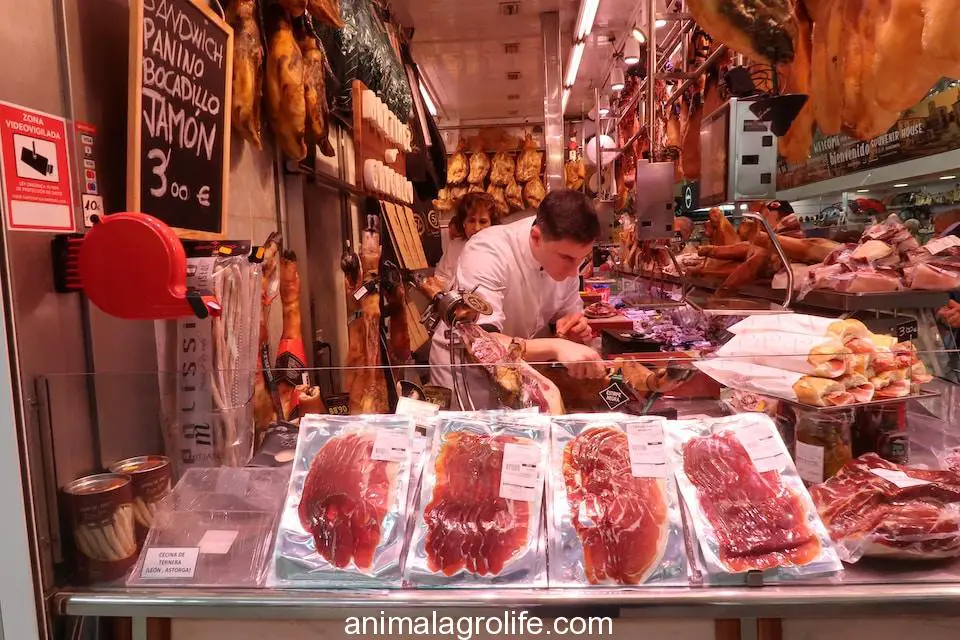 Bellota HAM vs Iberico Ham,man slicing raw meat