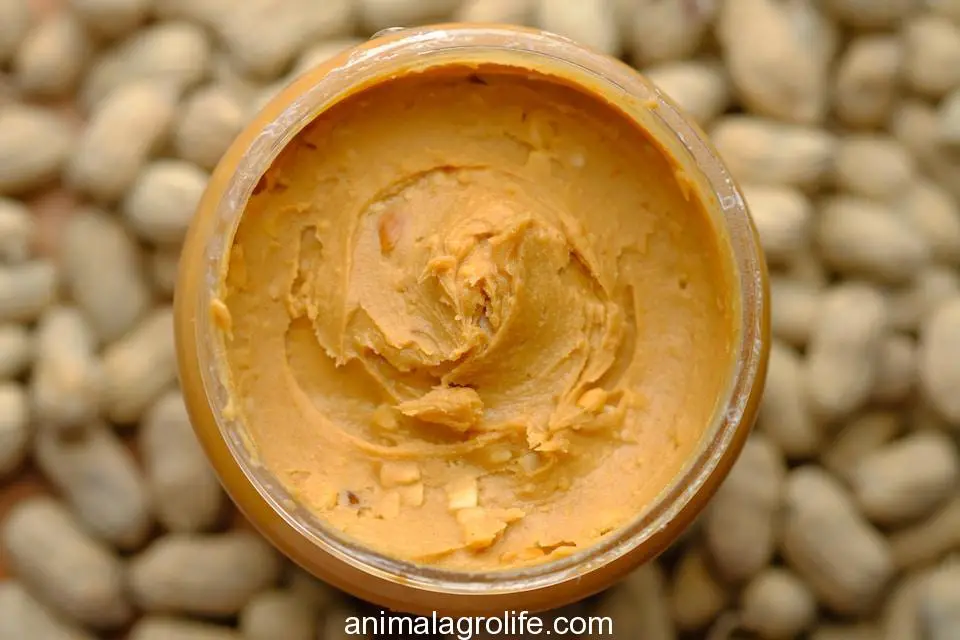 brown powder in brown round container,can dogs eat peanut butter