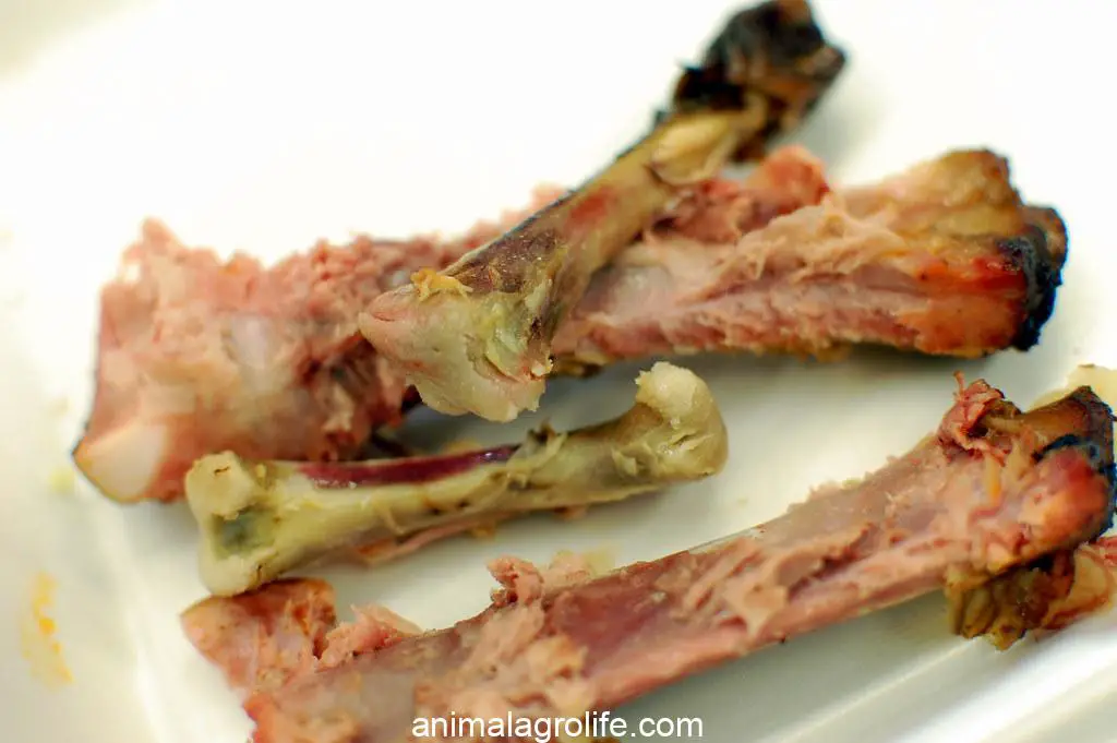 what to do if dog eats cooked pork rib bones
